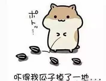 （图片来自网络）