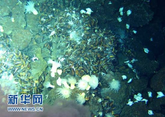 图片来源于网络