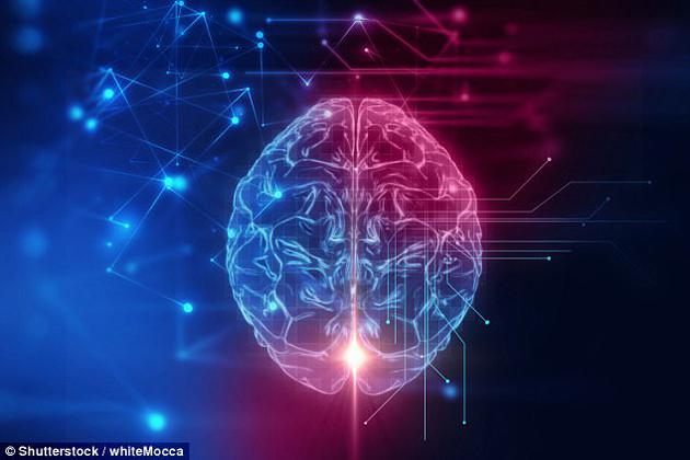 　　研究人员指出，大脑无时无刻不在监控我们的身体状况和周边环境，以便对随后可能发生的事情进行猜测。