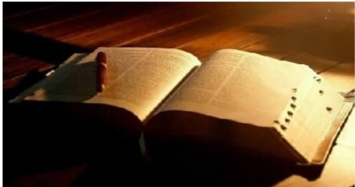 图片来源于网络