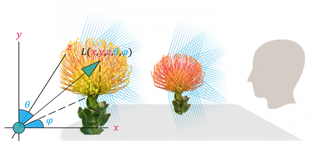 光场基本概念示意图