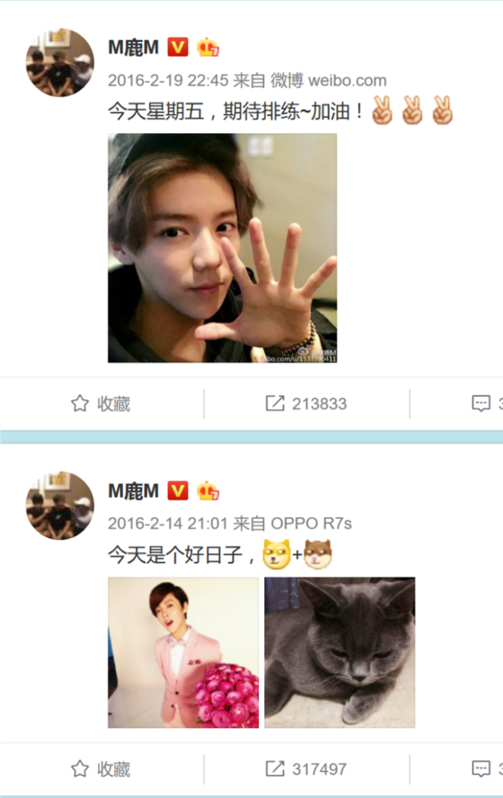 这之后就再也没用过OPPO
