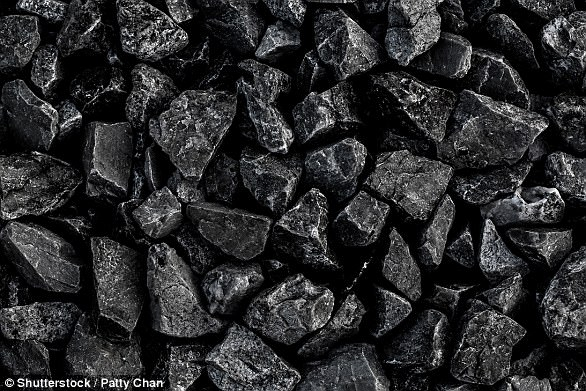 　　在这项新研究中，道蒂采集了美国多个地区的煤矿样品，通过测量煤炭中不同元素的含量比较白垩纪和石炭纪地球肥力的差异。