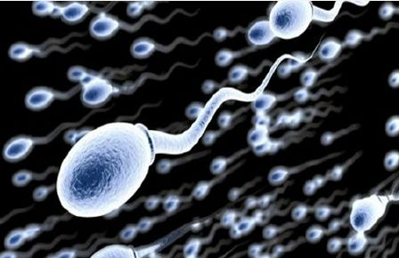 　　2015年4月份，澳大利亚医生宣称，从一位男性尸体死亡之后48小时提取的精子，成功孕育出一个“快乐、健康的宝宝”。