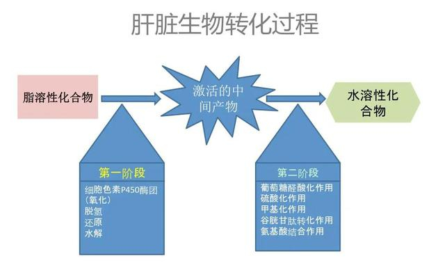 来源 | 功能医学医生