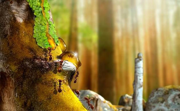 　　一些琥珀中还包含着幼年蜘蛛、蚂蚁、蠓虫、地钱和苔藓植物，它们是冈瓦纳大陆南部发现最古老的动物和植物。