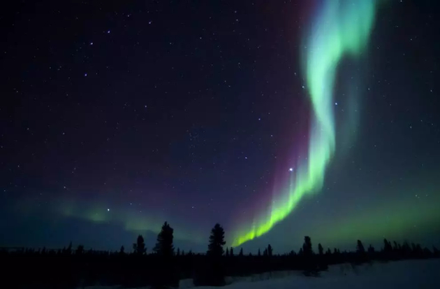  “触龙”下凡&nbsp; （源自www.dekowizja.pl）