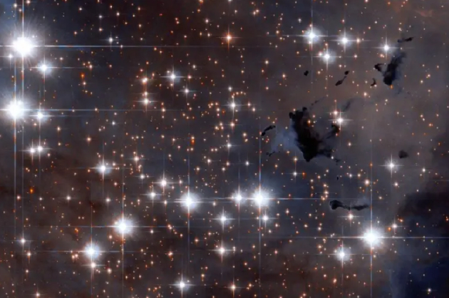 　　鹰星云以其中正在形成的恒星而闻名，包含了大量的博克球状体，即暗星云。这些球状体尚未蒸发，处于坍塌过程中，在完全消失之前会形成新的恒星。尽管这些球状体的外部环境可能非常热，但其内部可以免受辐射的影响，温度能够达到非常低的水平。