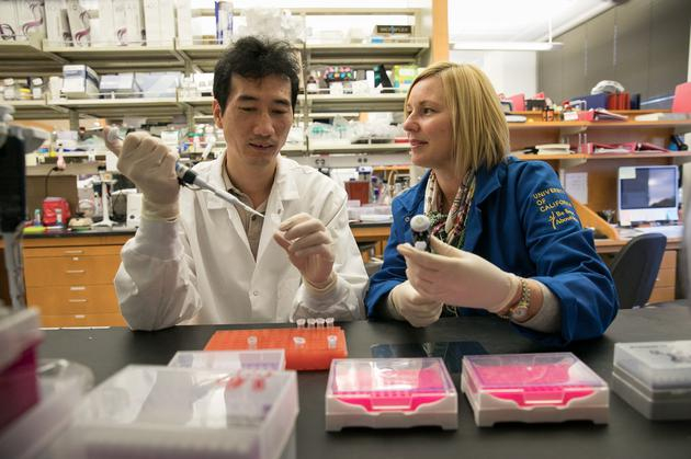 图为陈迪和阿曼德·克拉克在实验室中。