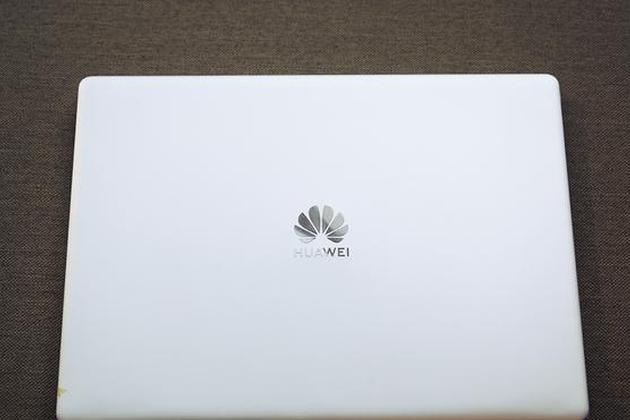 经典的花瓣Logo