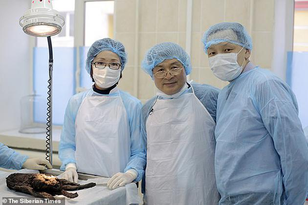　　DNA编码基因的硬拷贝，如果条件合适，可以存活数千年，但RNA的寿命较短，只能作为基因的工作副本。