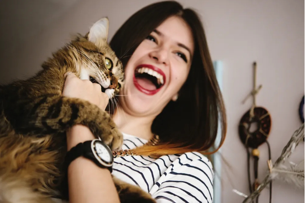 1、如果你是一个开心快乐的主人，你的宠物猫也会很快乐。