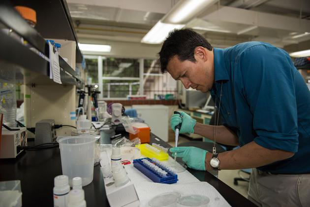 胡安•维拉瑞尔正在加拿大的极地地区研究苔藓植物。