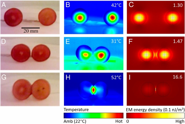 　　具有三种不同间隙的两粒葡萄，在用微波炉照射加热后，达到特定温度，间隙最小的温度最高，时间平均能量密度在最窄间隙之间温度最高。