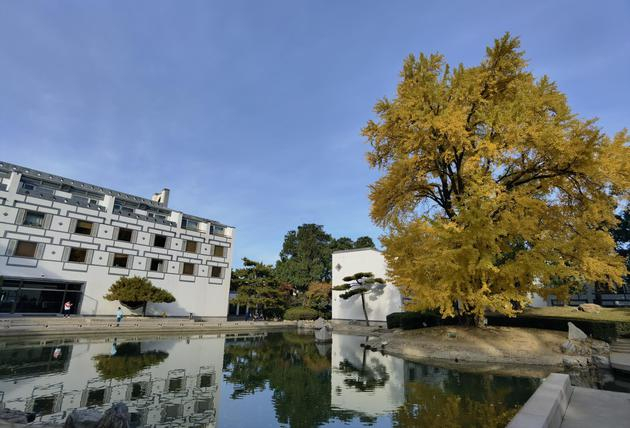 华为Mate40 Pro广角拍摄