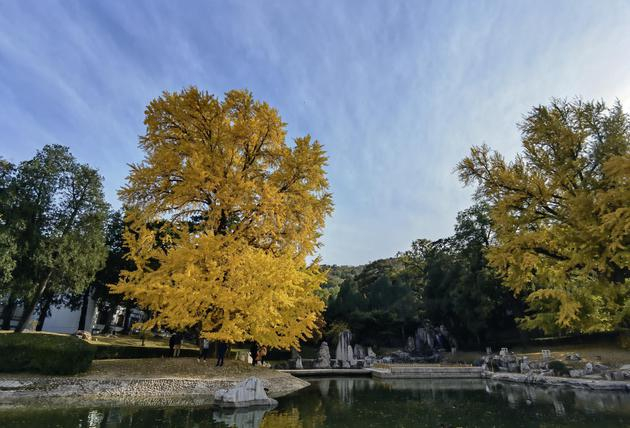 华为Mate40 Pro主摄拍摄