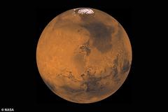 需要1万枚核弹才能将火星变地球 马斯克:没问题！