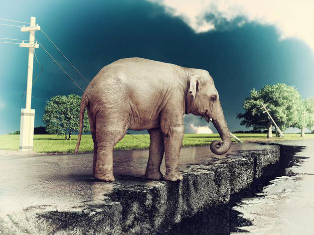 迄今没有证据表明动物能够预测地震，人们应当对这些说法持怀疑态度。