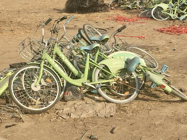 部分自行车才下生产线就成了“废品”。新京报记者 张羽 摄影