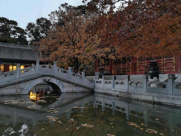 华为Mate40 Pro主摄拍摄