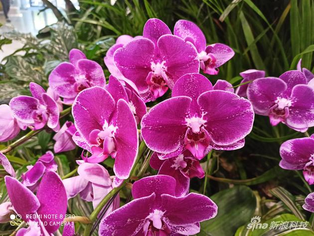 室内样张，色彩鲜艳