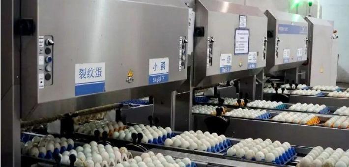 “劝退”老外的中国皮蛋 怎么就在美国的Costco卖断货了？
