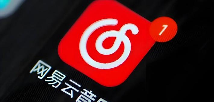 网易云音乐：无「访客记录」功能，高度重视用户隐私安全