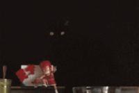 GIF|主人找了半天的猫,结果惊掉下巴