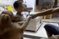 GIF|狗子维护小主人:皇上息怒!太子还小,有啥冲我来