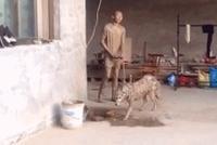 GIF|记一次糟糕的遛狗经历?