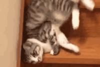 GIF|周一不想上班的你,是不是也这个样子!