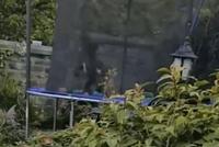 GIF|蹦床:我记得我好像不是这么玩的吧