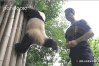 GIF|这大概就是毫无眼力见吧