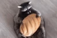 GIF|肥得像液体一样