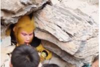 GIF|一份每天被喂养的工作