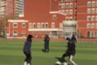 GIF|打球还是打架