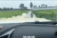 GIF|突然看到熟悉的东西