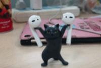 GIF|妖娆猫万物皆可托