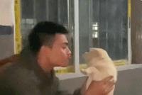 GIF |狗狗版的先下手为强