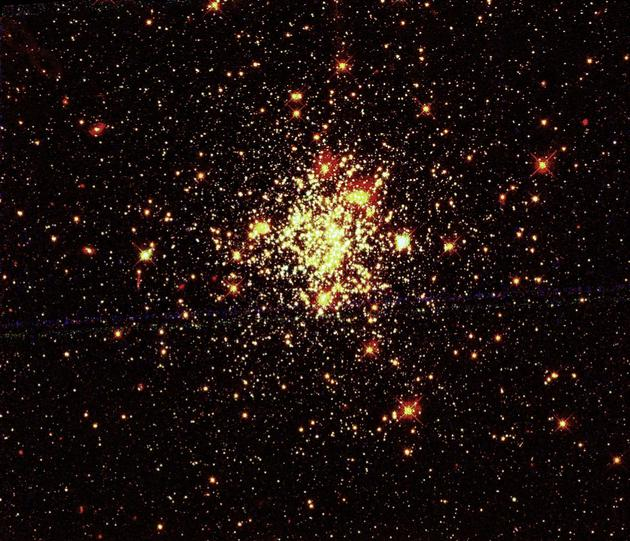 　　大麦云星团NGC2173的合成彩图(使用哈勃空间望远镜紫外窄带、绿光宽带和红光宽带滤光片图像)。因为滤光片匹配的限制，图中的恒星普遍偏红。中央的那些亮星许多就是蓝色的蓝离散星。