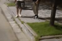 GIF |这腿够灵活