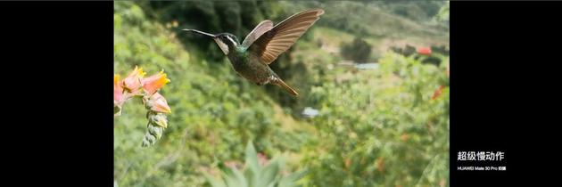 华为Mate30 Pro 7680帧超高速摄影