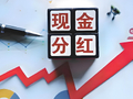 皮海洲：不能简单地将银行分红的股息率与存款利率作对比