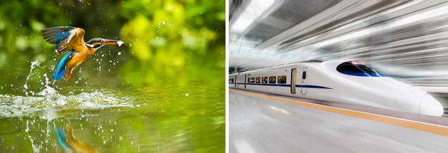 子弹头列车较尖的一端是模仿翠鸟喙的结构