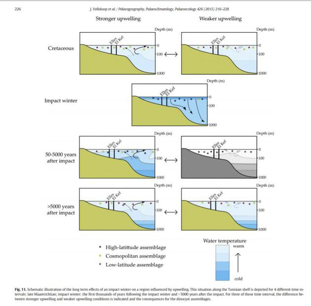 　　在撞击发生后，海洋表层成了温度最低的区域，深层温度高，恰似冬天的水域；撞击发生50年后，表层温度开始回复正常。