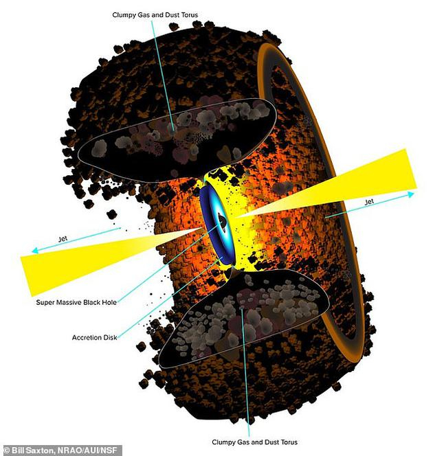 　　这一类似甜甜圈结构的圆环（torus）位于天鹅座A星系的中心，而该星系是宇宙中能量最强大的电波星系之一