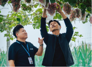 分期乐普惠线下服务人员走访灵璧葡萄种植户。
