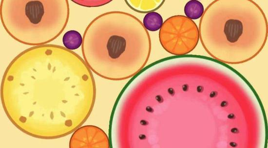 　　各种公众号不仅将水果科普个遍，还深扒了它们的血统与出身，比如这种个头较小的橙色水果几乎可以断定是沙糖桔