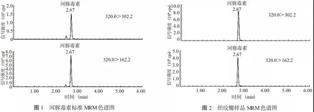 51份织纹螺样品中均检测出河豚毒素