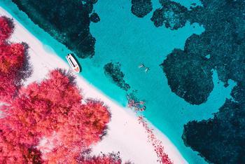 一半海水是一半火焰